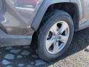 Thumbnail image of 2022 Toyota RAV4 at Dutch Miller Buick Gmc