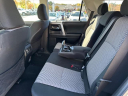 Thumbnail image of 2024 Toyota 4Runner at Ralph Hayes Toyota