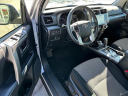 Thumbnail image of 2024 Toyota 4Runner at Ralph Hayes Toyota
