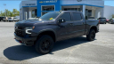 Thumbnail image of 2023 Chevrolet Silverado 1500 at Champion Chevrolet Cadillac