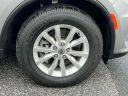 Thumbnail image of 2021 Dodge Durango at Merrick Jeep Chrysler Dodge Ram