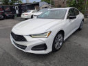 Thumbnail image of 2021 Acura TLX at Luxury of Queens