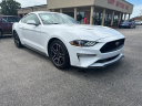 Thumbnail image of 2022 Ford Mustang at Tapp Motors