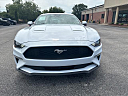 Thumbnail image of 2022 Ford Mustang at Tapp Motors