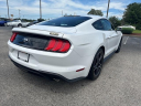 Thumbnail image of 2022 Ford Mustang at Tapp Motors