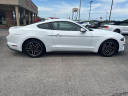 Thumbnail image of 2022 Ford Mustang at Tapp Motors