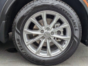 Thumbnail image of 2024 Honda CR-V at Westminster Automotive Holdings - NEW
