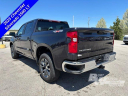Thumbnail image of 2023 Chevrolet Silverado 1500 at Burt Watson Chevrolet of Freeland