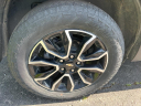 Thumbnail image of 2022 Chevrolet Trailblazer at LaFontaine Chevrolet Buick GMC of St. Clair