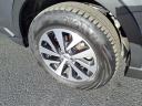 Thumbnail image of 2022 Subaru Outback at Honda Cars Of Bellevue
