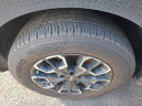 Thumbnail image of 2022 Hyundai SANTA CRUZ at Maxon Hyundai Inc.