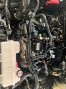Thumbnail image of 2024 Toyota Tacoma at Cavender Toyota