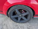 Thumbnail image of 2008 Ford Shelby GT500 at Capital Ford Lincoln