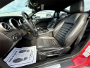 Thumbnail image of 2008 Ford Shelby GT500 at Capital Ford Lincoln