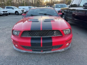 Thumbnail image of 2008 Ford Shelby GT500 at Capital Ford Lincoln