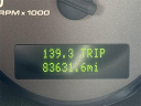 Thumbnail image of 2008 Ford Shelby GT500 at Capital Ford Lincoln