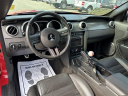 Thumbnail image of 2008 Ford Shelby GT500 at Capital Ford Lincoln