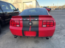 Thumbnail image of 2008 Ford Shelby GT500 at Capital Ford Lincoln