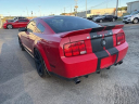 Thumbnail image of 2008 Ford Shelby GT500 at Capital Ford Lincoln