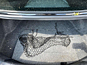 Thumbnail image of 2014 Honda Accord at 5 STAR AUTO SALES INC