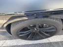 Thumbnail image of 2017 Dodge Challenger at Mike Maroone Chevrolet WPB