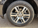 Thumbnail image of 2023 Ford Expedition at Frank Brown Honda GMC