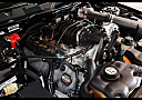 2010 Ford Mustang GT Premium at Dixie Motors