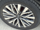 2023 Nissan Altima 2.5 SV at Cecil Atkission Motors Uvalde