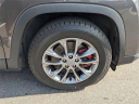 Thumbnail image of 2021 Jeep Cherokee at Mike Maroone Chevrolet WPB