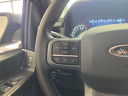 Thumbnail image of 2023 Ford F-150 at Buss Ford Lincoln