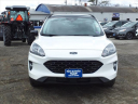 Thumbnail image of 2022 Ford Escape at Ripley & Fletcher Ford