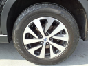 Thumbnail image of 2022 Subaru Outback at Genesis Of South Bay