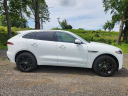 Thumbnail image of 2024 Jaguar F-PACE at Piazza Jaguar Land Rover West Chester