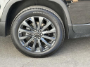 Thumbnail image of 2022 Chevrolet Traverse at East Hills Chevrolet of Douglaston