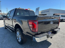 Thumbnail image of 2024 Ford F-150 at George Ballentine Ford Lincoln