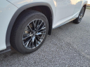 Thumbnail image of 2021 Lexus RX 350 at Walker Chevrolet