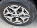Thumbnail image of 2024 Subaru Forester at Kia Of Cleveland