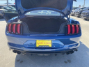 Thumbnail image of 2022 Ford Mustang at Geri Lynn Nissan