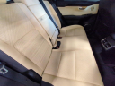 Thumbnail image of 2019 Lexus NX 300 at Infiniti of Central Arkansas USED