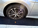 Thumbnail image of 2019 Toyota Camry at Friendly Auto Gallery