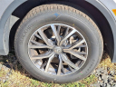 Thumbnail image of 2023 Volkswagen Tiguan at Honda of Bridgewater