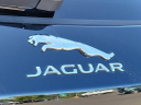 Thumbnail image of 2021 Jaguar F-PACE at Piazza Jaguar Land Rover Willow Grove
