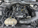 Thumbnail image of 2021 Ford Mustang at Gulf Chrysler Dodge Jeep Ram