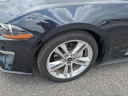 Thumbnail image of 2021 Ford Mustang at Gulf Chrysler Dodge Jeep Ram