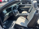 Thumbnail image of 2024 Ford Mustang at Manchester Motor Company