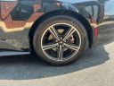 Thumbnail image of 2024 Ford Mustang at Manchester Motor Company