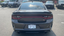 Thumbnail image of 2022 Dodge Charger at New - Salerno Duane Of Summit Ford