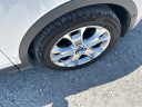 Thumbnail image of 2014 Ford Escape at Sarpy County Motors