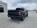 Thumbnail image of 2022 Ford F-150 at ToyotaOfSomerset of Somerset, KY