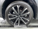 Thumbnail image of 2024 Mazda CX-50 at Nelson Mazda